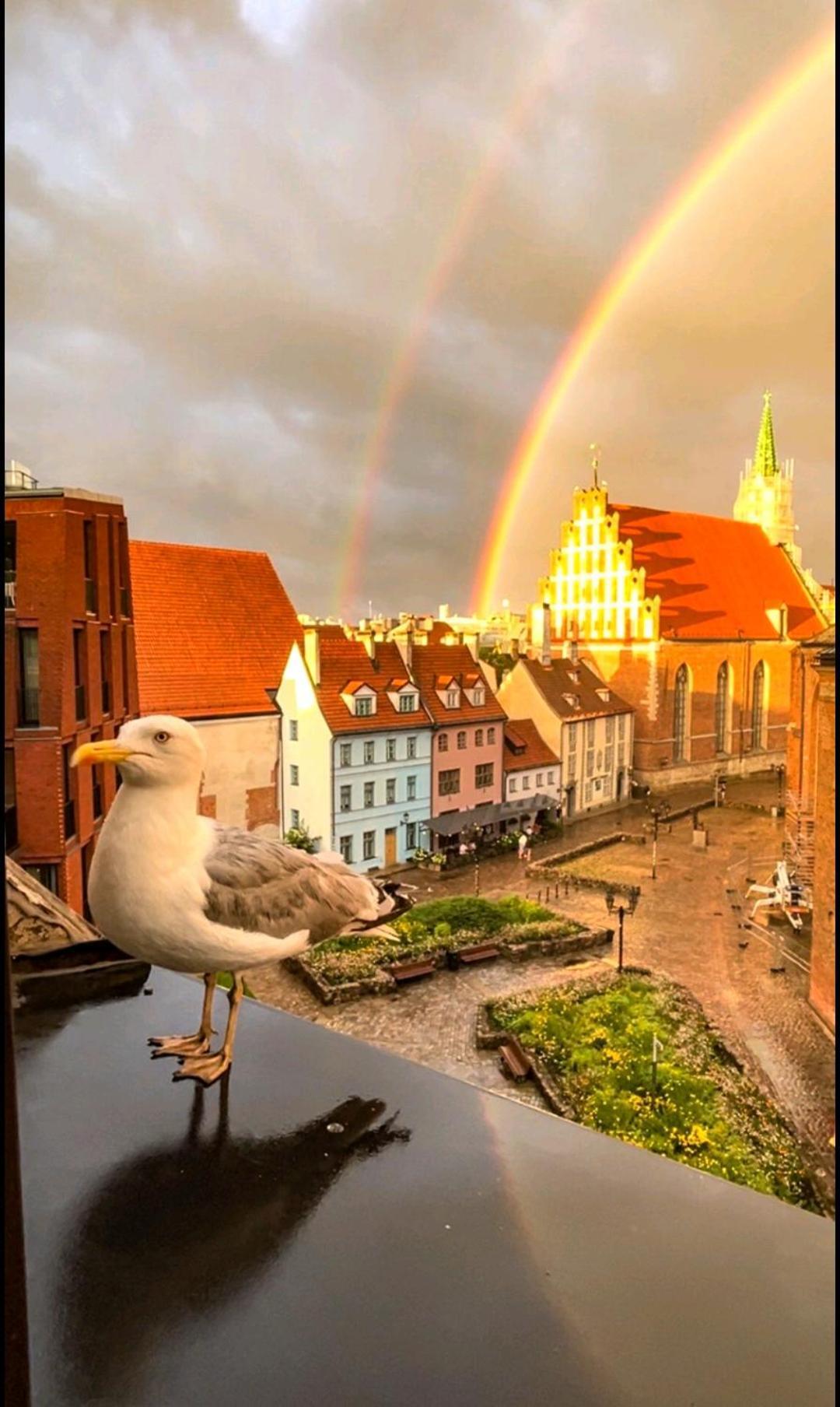 Old Town Retreat With Stunning Views 2 Bedroom Apartment Nearby The Church Of Saint Peter Riga Esterno foto
